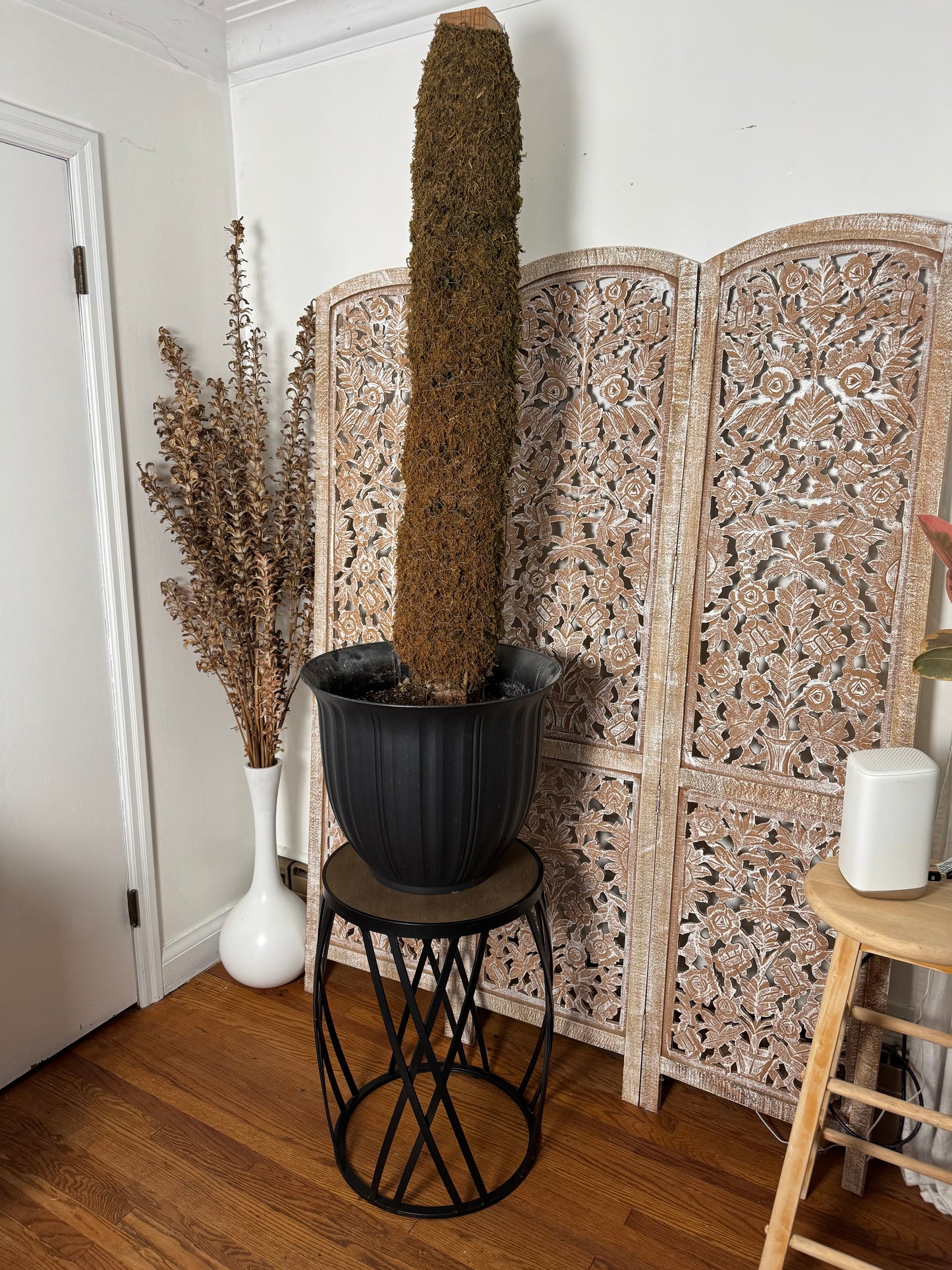 Huge Moss Pole & Pot Combo