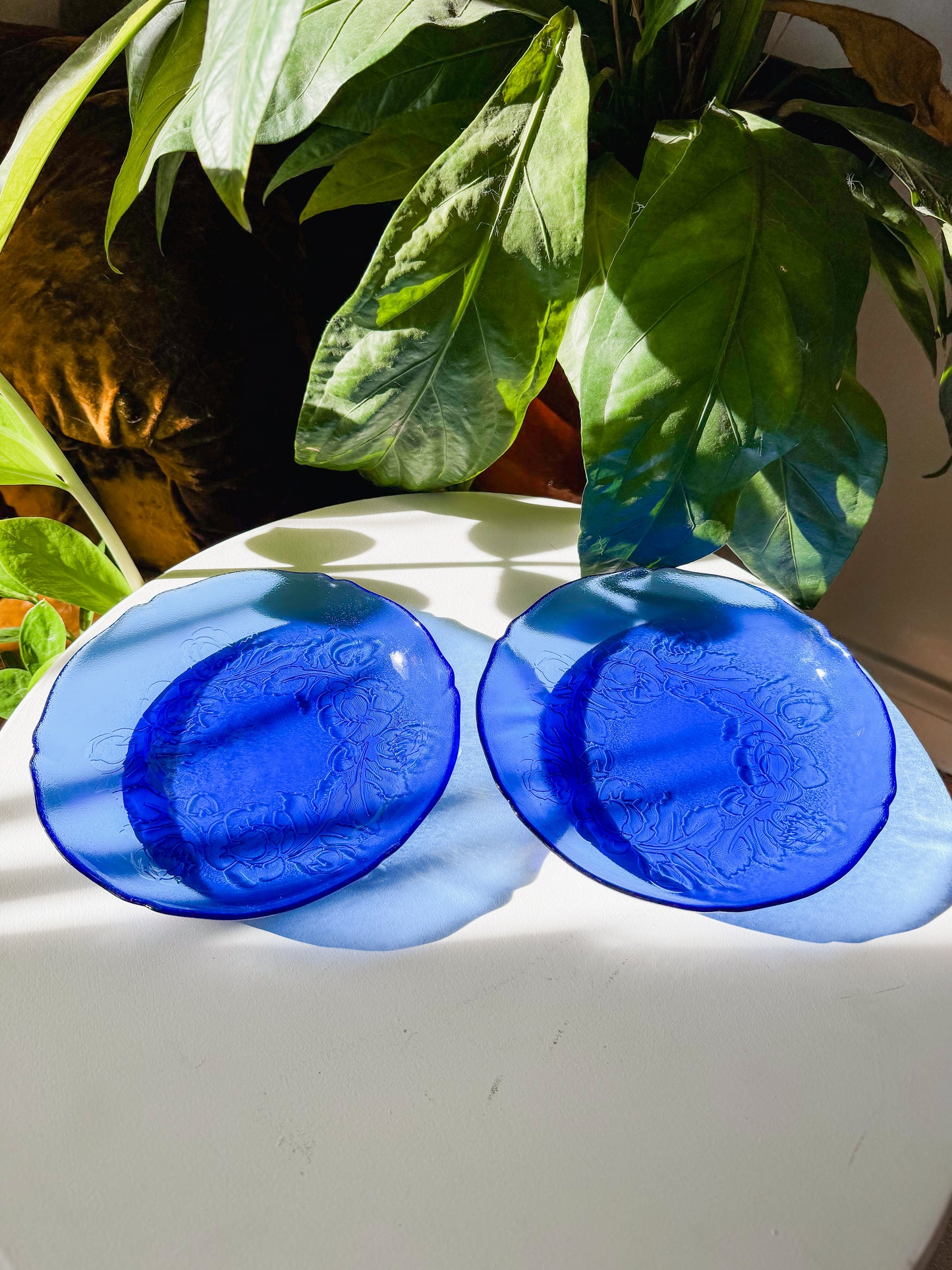 Vintage Arcoroc Cobalt Plates
