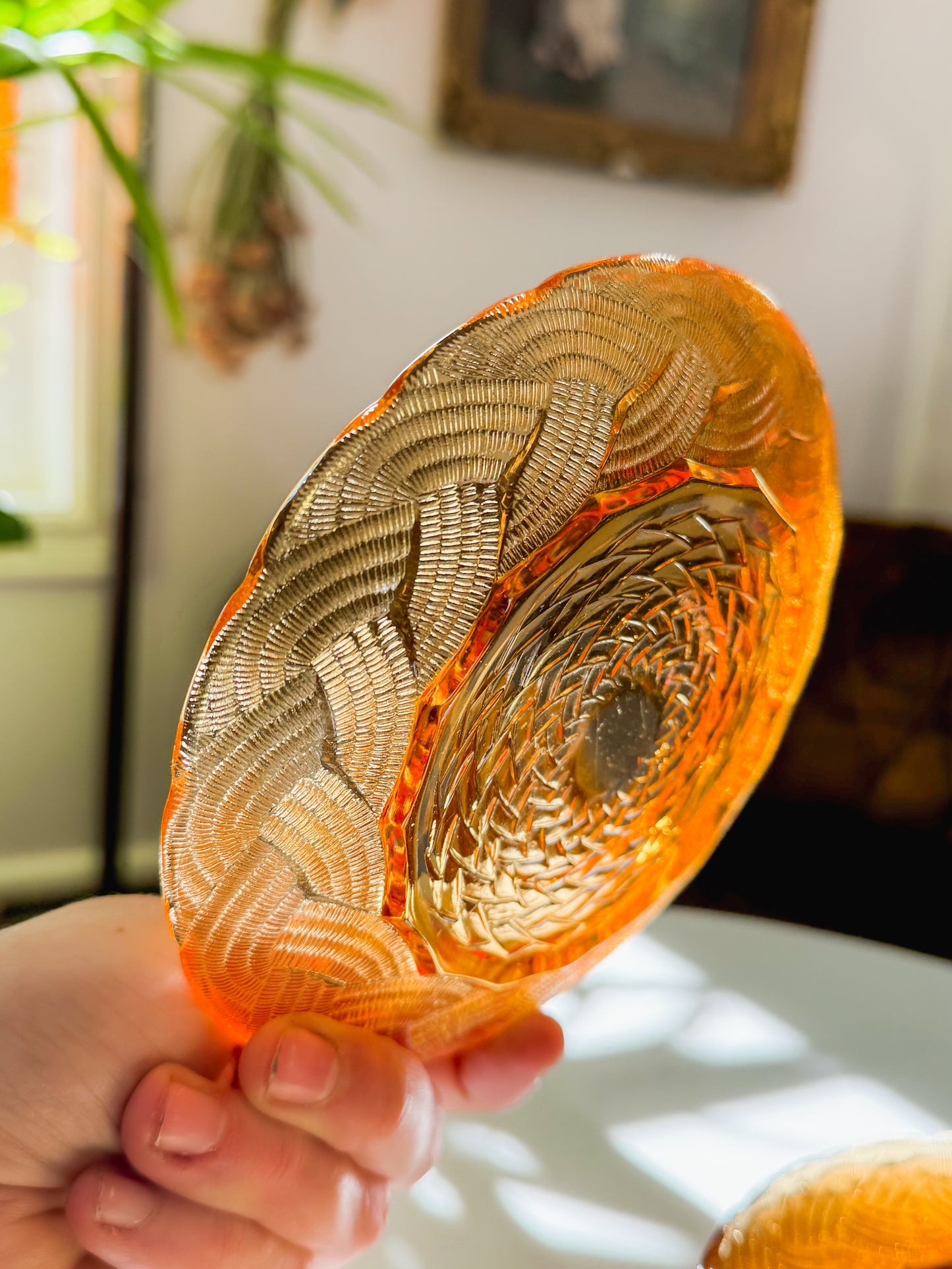 Amber Rope Dessert Plate Set