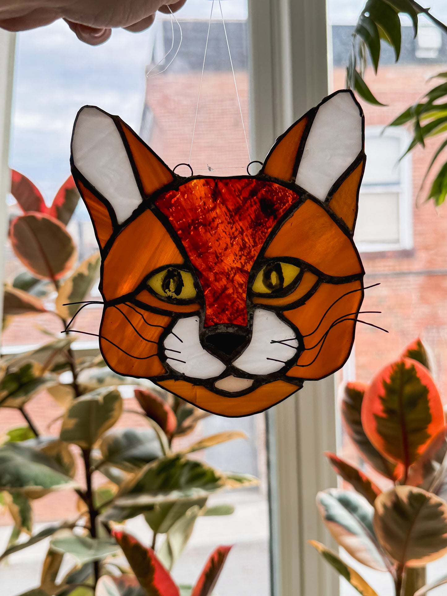 Stained Glass Window Cat