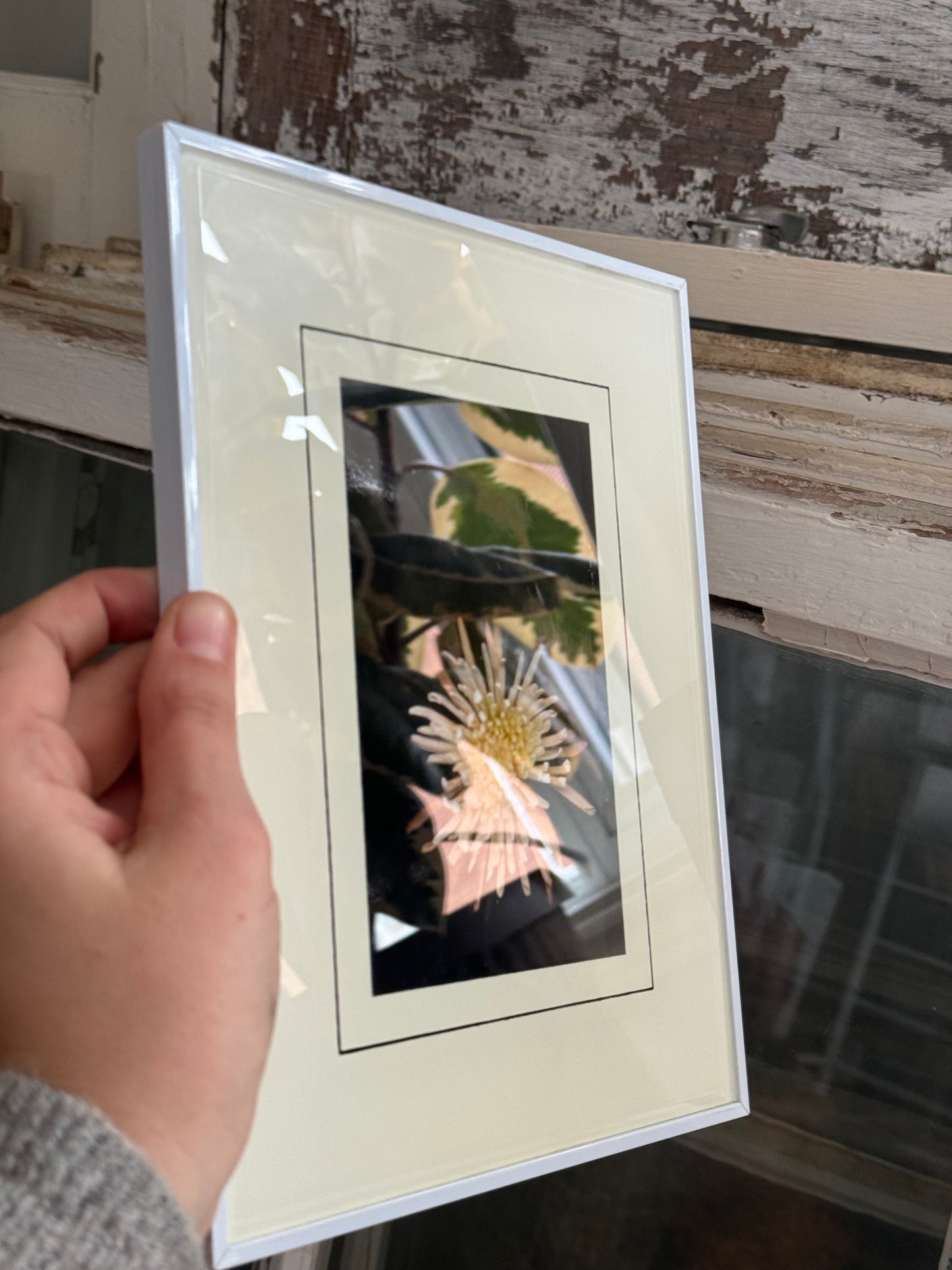 8x10 Framed Mum