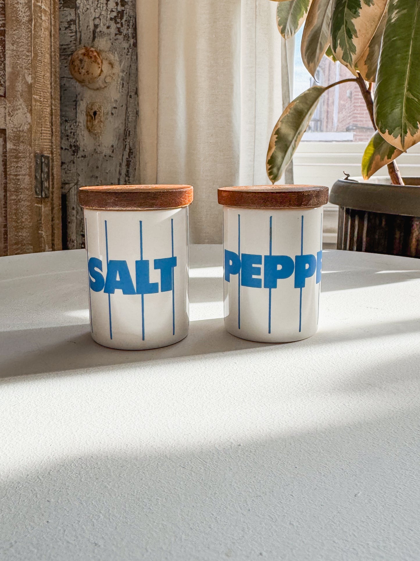 Retro Hornsea Salt & Pepper Set