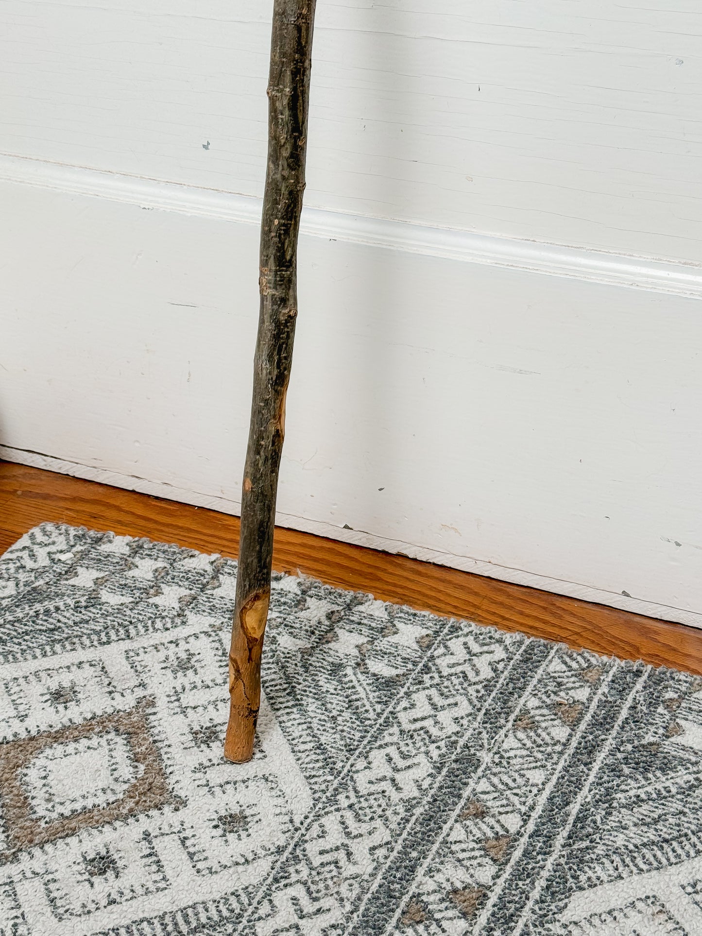 Nana & Papa Collection: Antique Animal Footprint Walking Stick