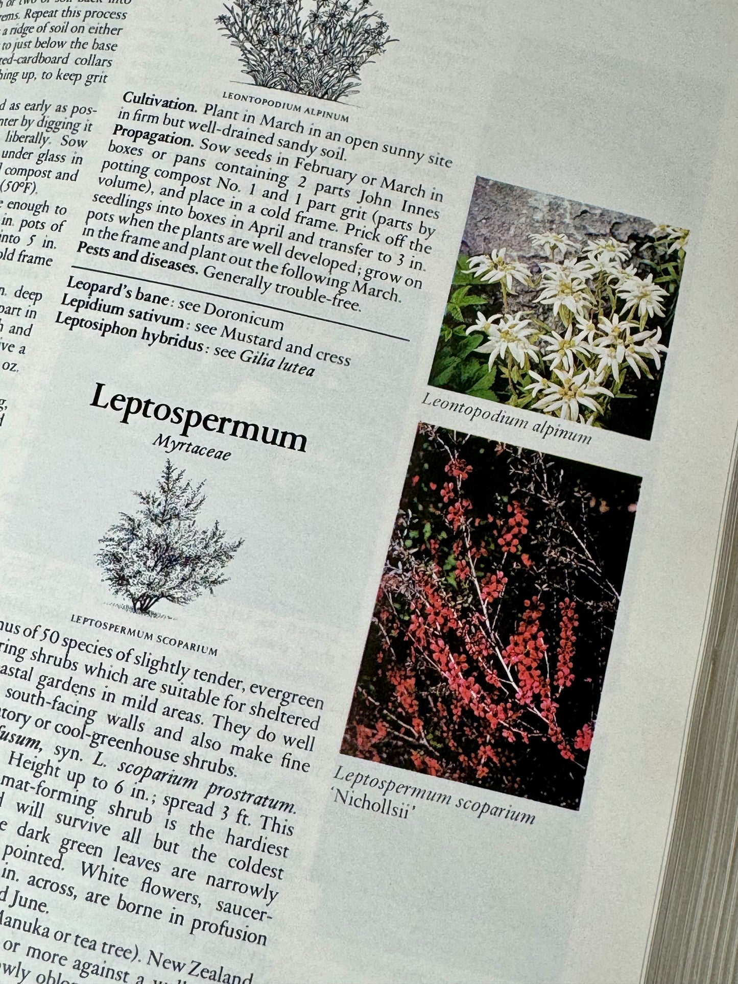 Readers Digest Encyclopedia of Garden Plants and Flowers