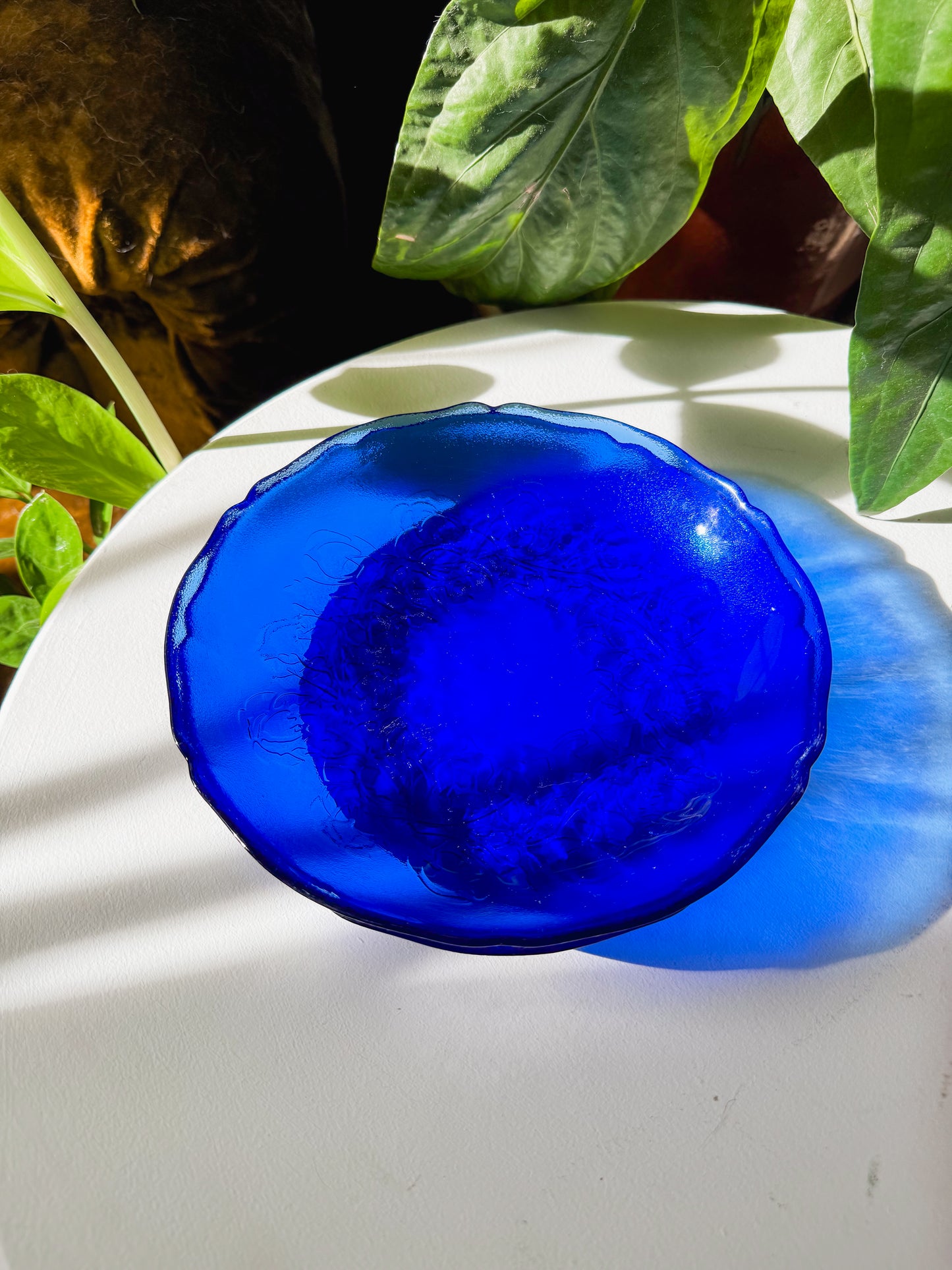 Vintage Arcoroc Cobalt Plates
