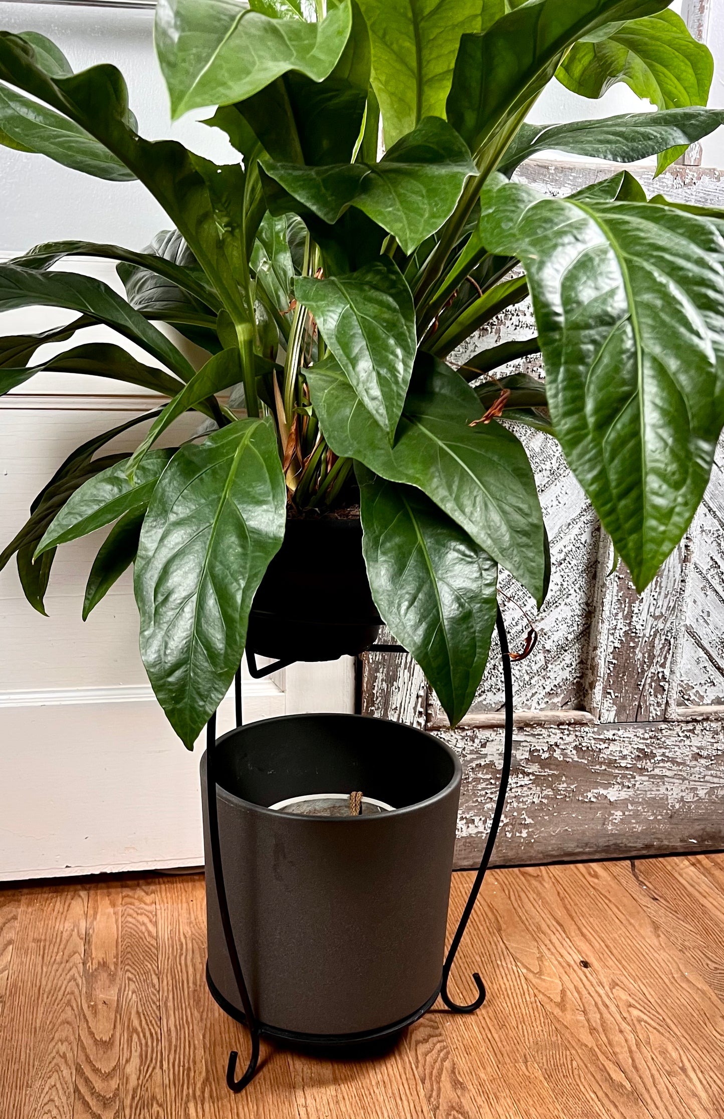 Refinished Plant Stand