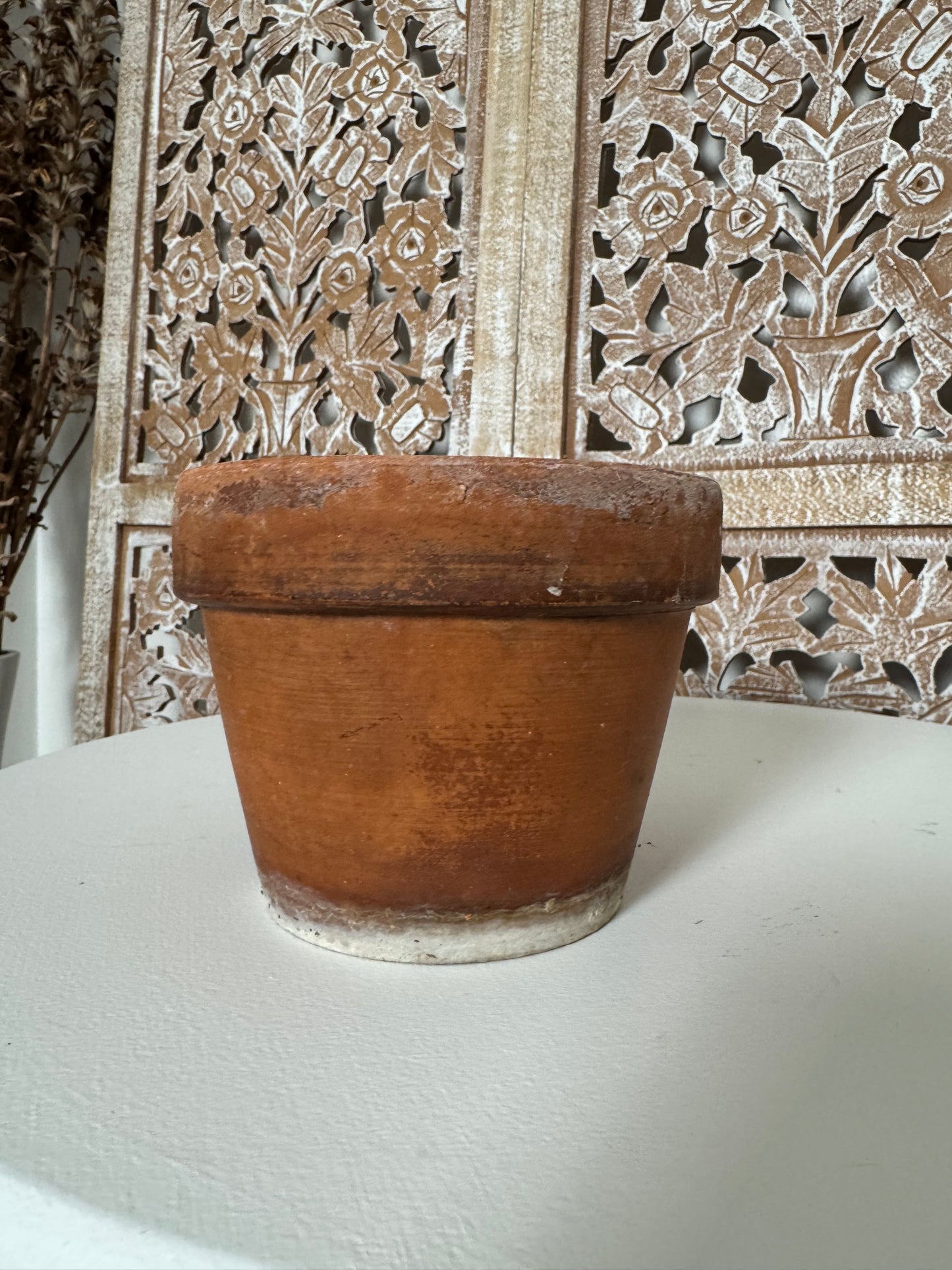 Terracotta Plant Pot Collection