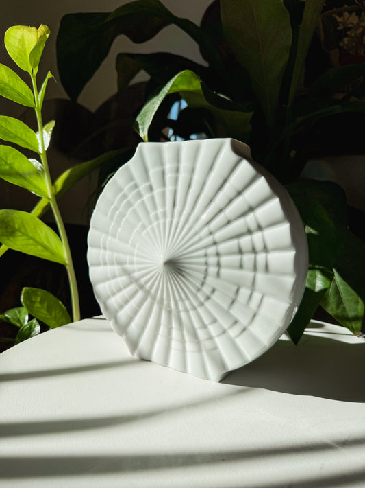 Large White Shell Vase