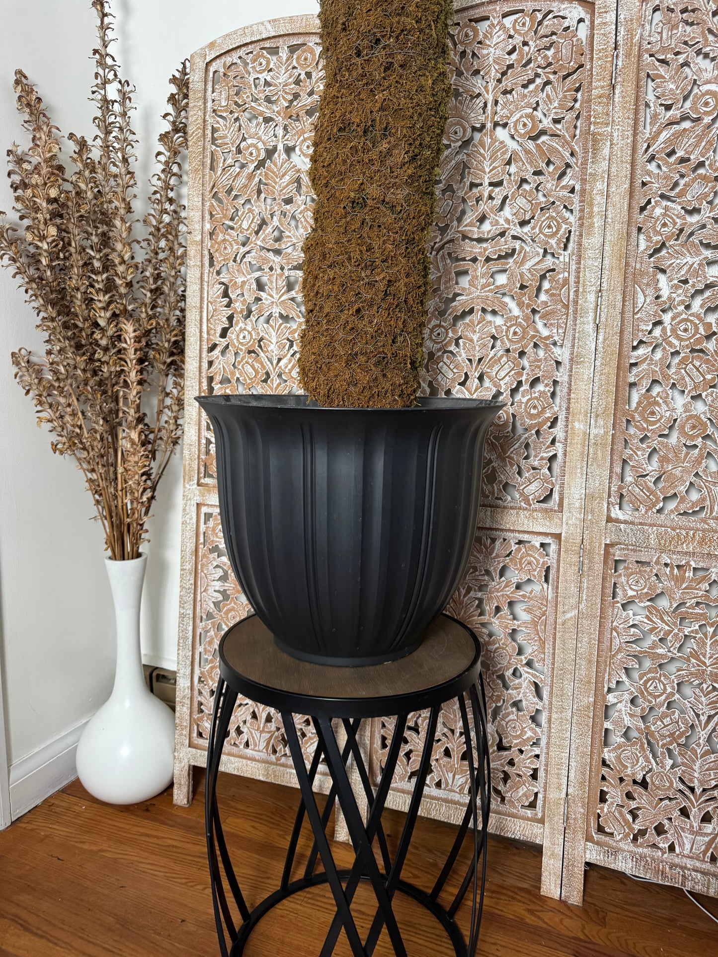 Huge Moss Pole & Pot Combo