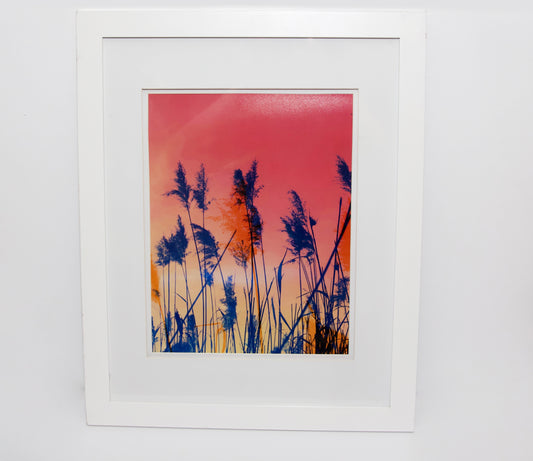 12 x 18 Print - Feathery