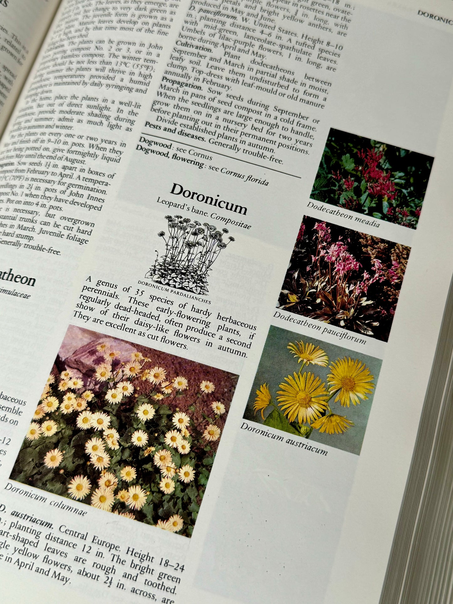 Readers Digest Encyclopedia of Garden Plants and Flowers