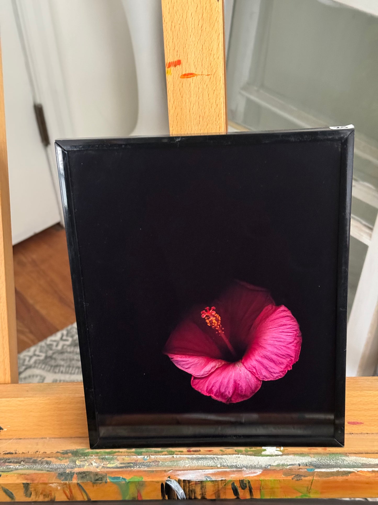 8x10 Pink Hibiscus