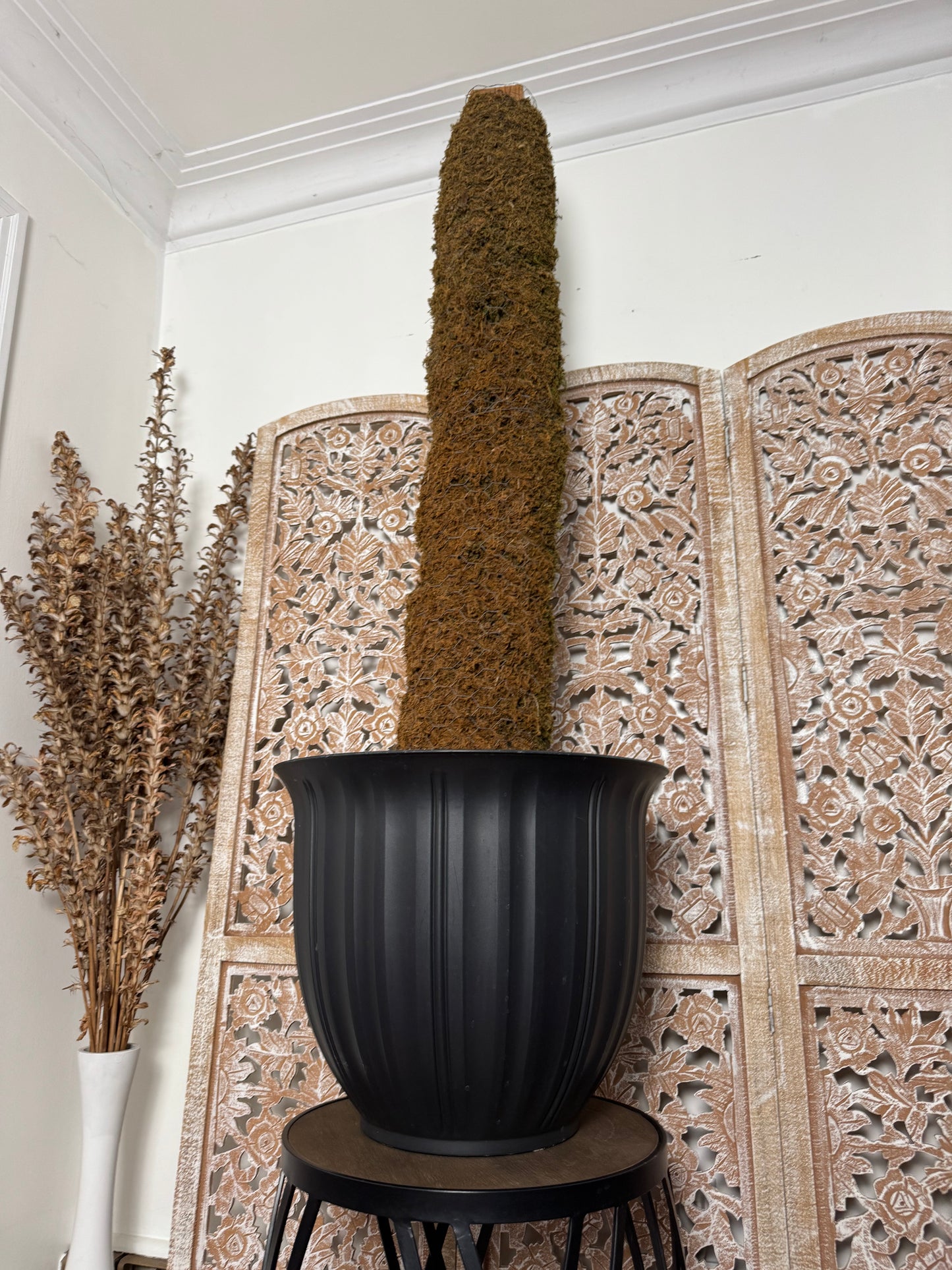 Huge Moss Pole & Pot Combo