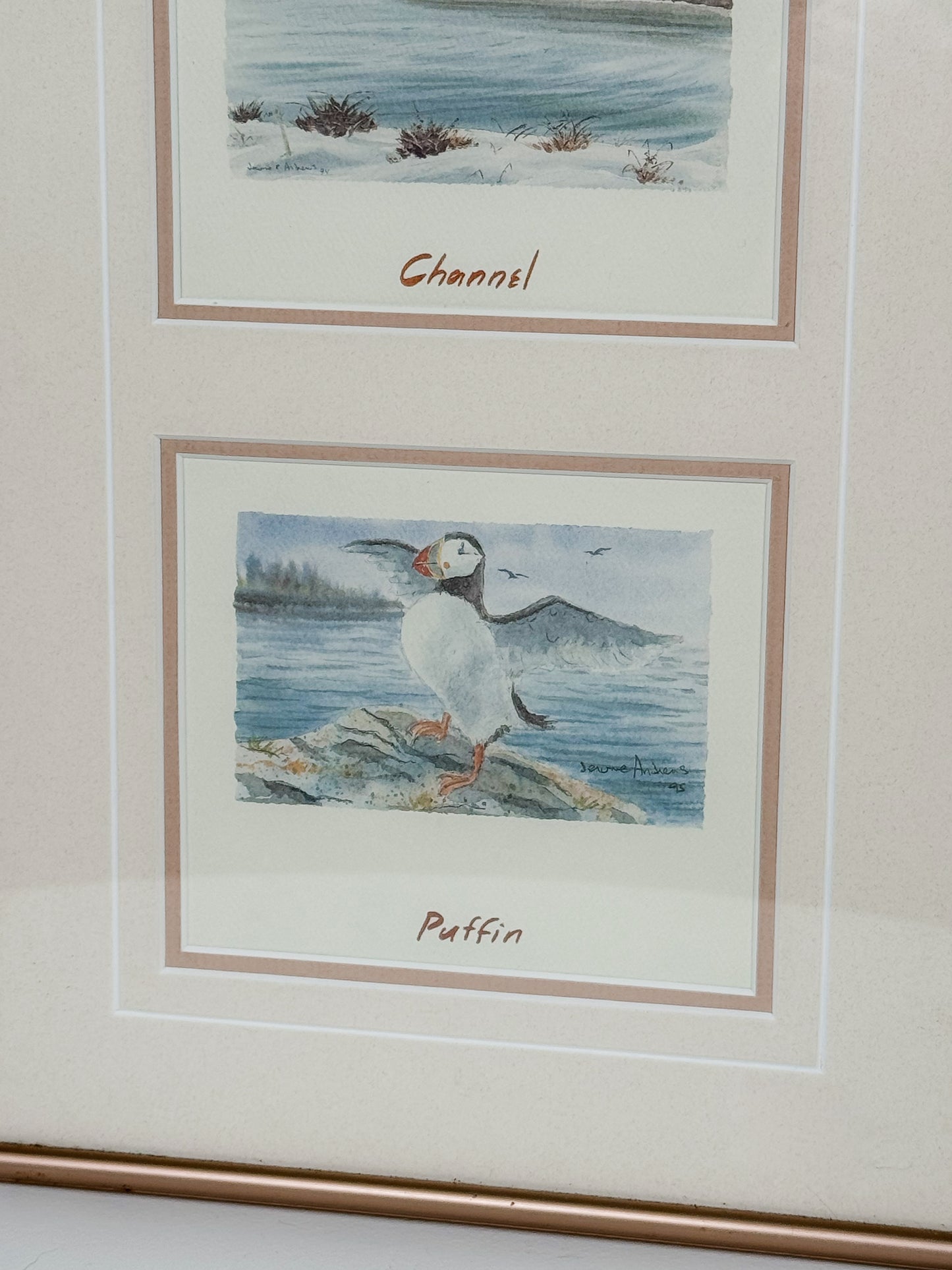 Rose Gold Framed Puffin Prints