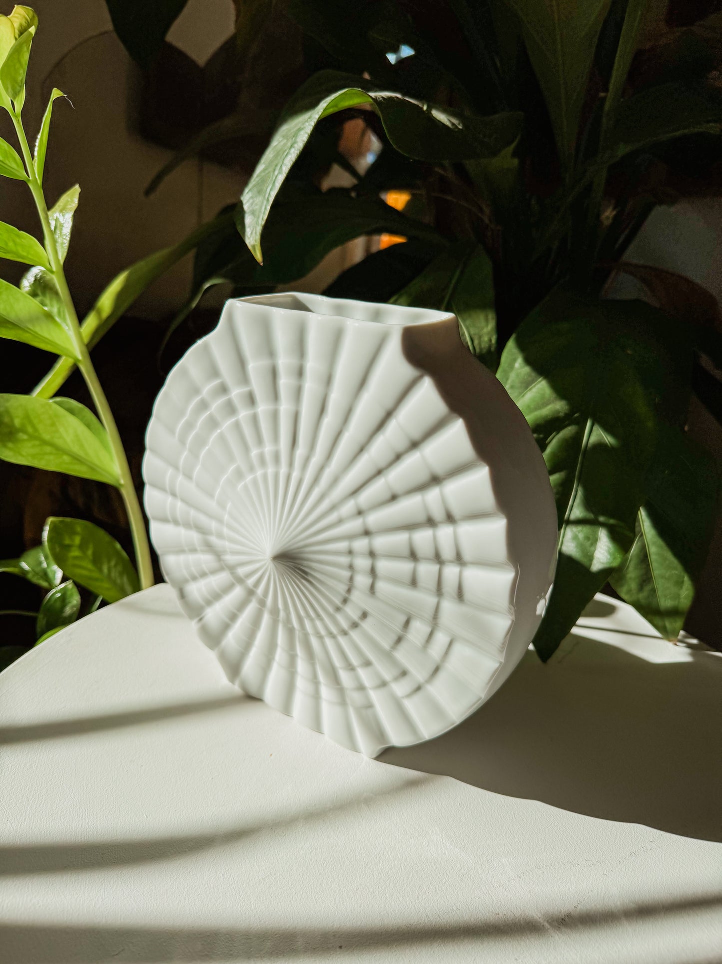 Large White Shell Vase