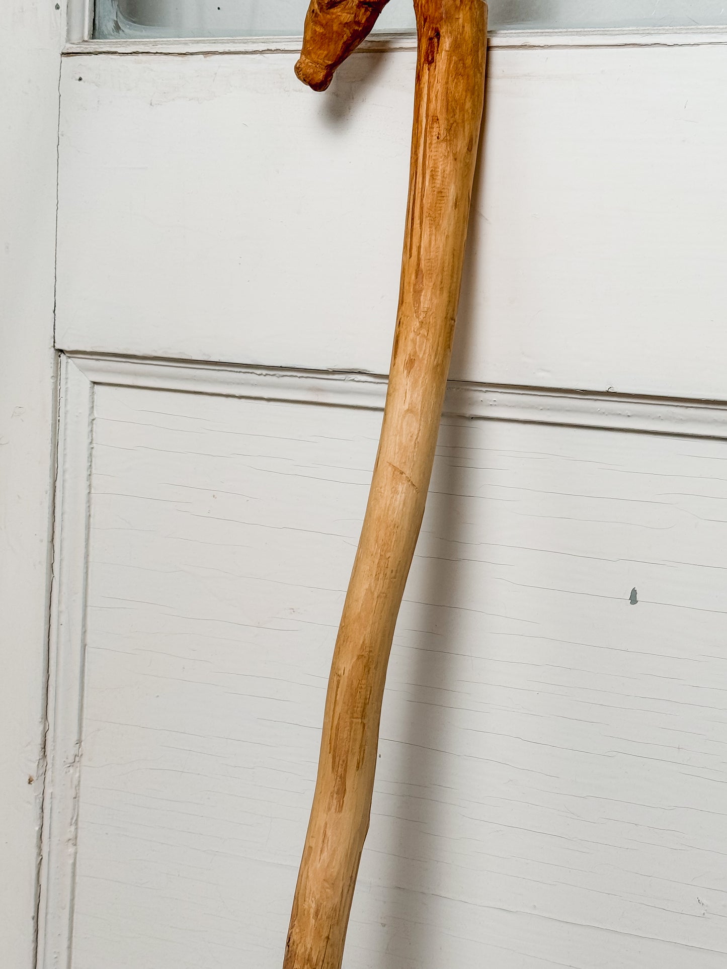 Nana & Papa Collection: Interesting Walking Stick