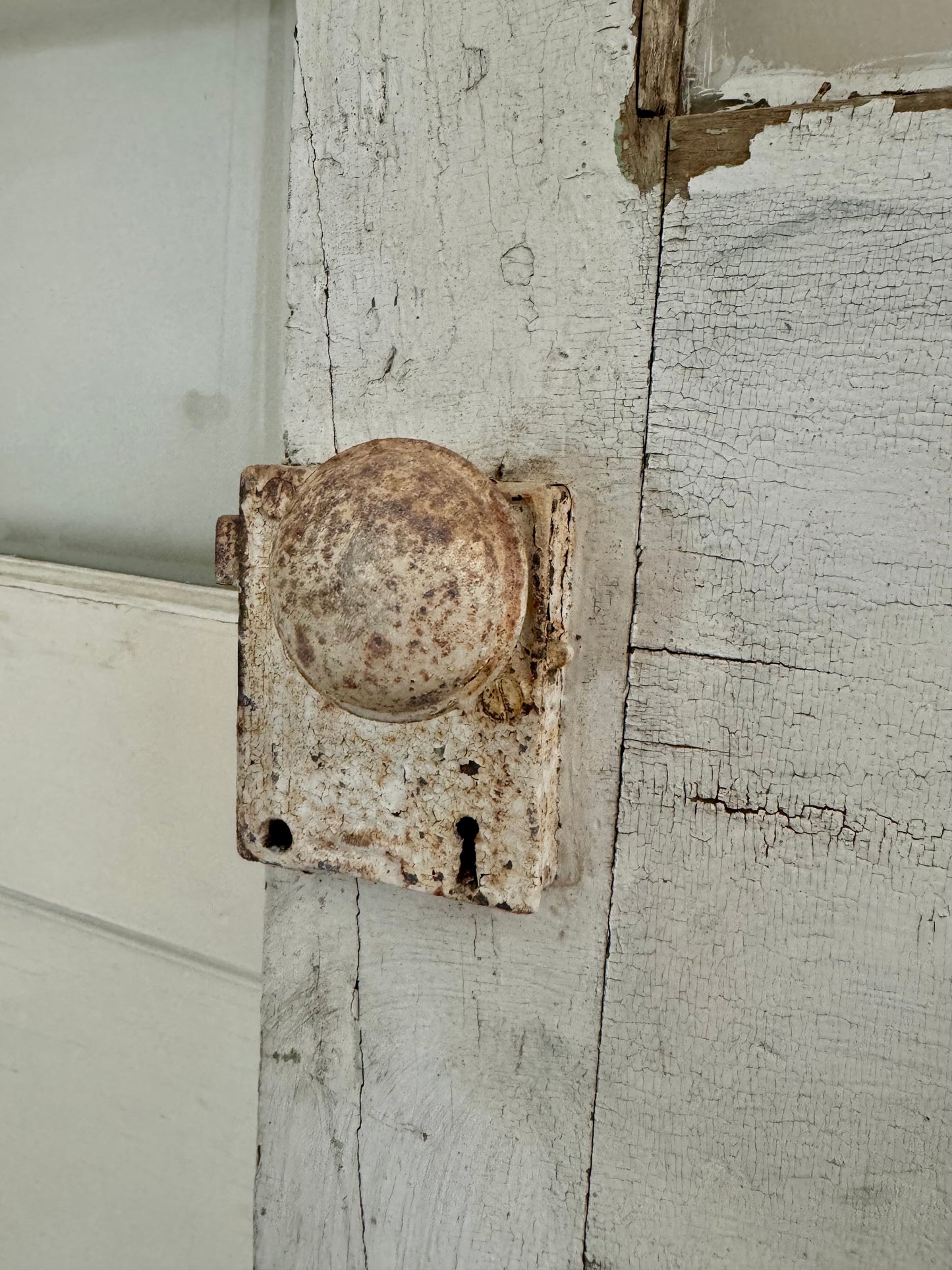 Vintage Speckled Door