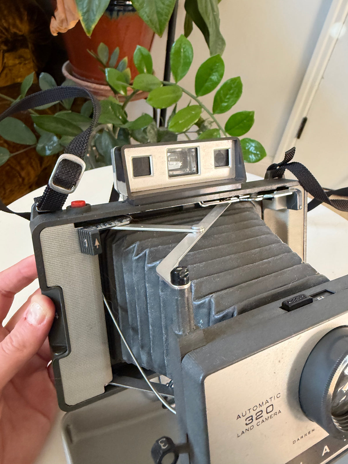 Polaroid Automatic 320 Land Camera