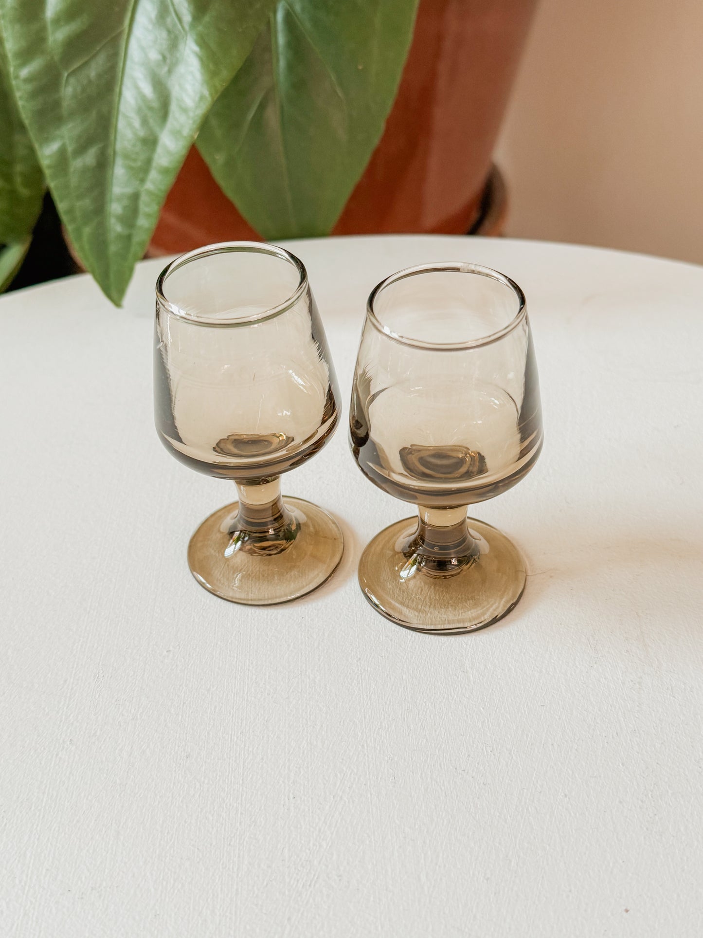 Smokey Mini Wine Glasses