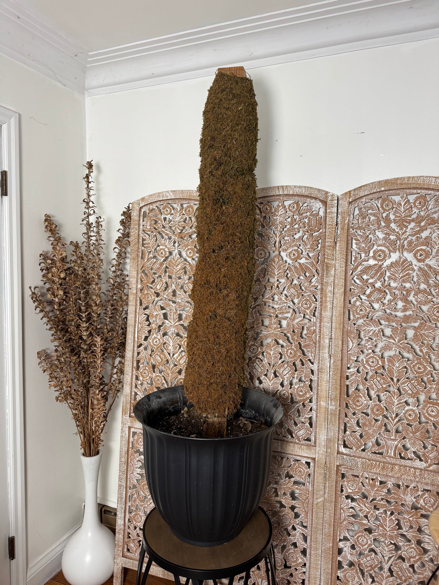 Huge Moss Pole & Pot Combo
