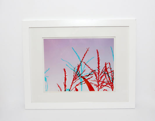 12x18 Framed Print - Wispy